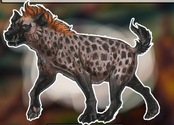 Faida2.png