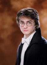 Daniel Radcliffe as Harry Potter (GoF-01)