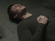 Shawn-mendes-in-my-blood