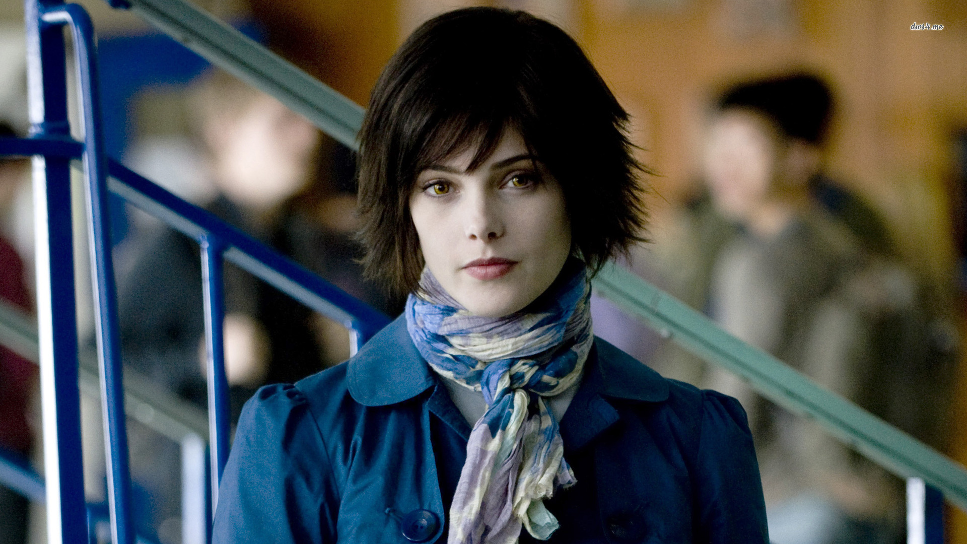 The ultimate Alice Cullen hair guide – Go Ask Alice Cullen