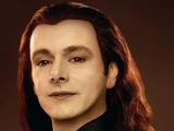 Aro