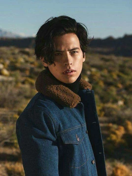 37f243a97592735433a7eea59e744d8f