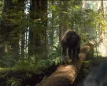 Insanis Baboon.png