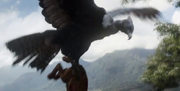 Future Condor.png
