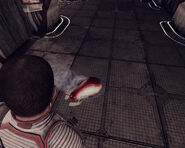 ProtoBota.jpg (562 КБ) ProtoBota