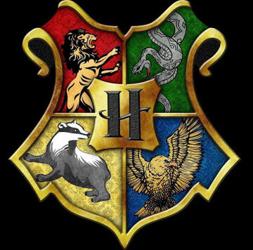Hogwarts Academy of Magic, Aftons Mayhem Wiki