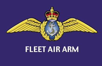 fleet air arm wings