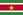 Surinam Flag Small