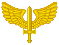 COA of Brazilian Air Force