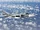 Sukhoi Su-24