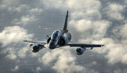 Dassault Mirage 2000N.jpg
