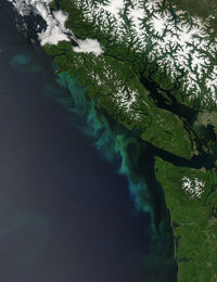 A satellite image of Vancouver Island taken on June 25, 2006.
