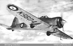 Gloster Goshawk.jpg