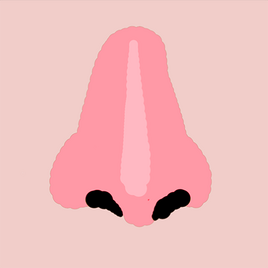Agario nose
