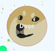 Dogeeee