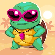 Turtail - Full Size