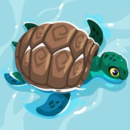 Sea Turtle - Full Size
