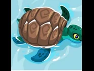 Sea Turtle