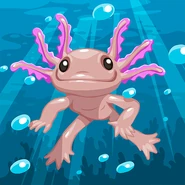 Axolotl.png (177 KB) Axolotl - Full Size