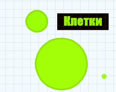 Клетки.png