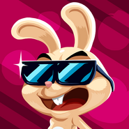 Cool Bunny - Original Image