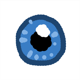 Eye