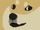 Doge