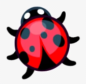 Lady-bug-token