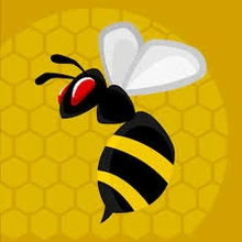 Wasp skin