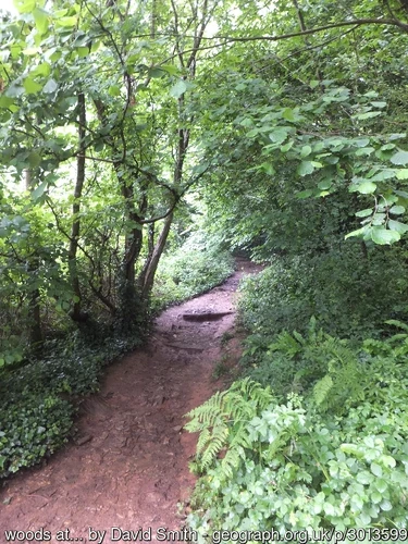 "We went on down the lane. At the foot of it a path led between brambles and bracken down to the sea." Path to Elberry Cove. This photo was taken in 2012.