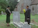 The Yellow Iris (Agatha Christie's Poirot episode)