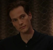 Adrien sauvignac styles