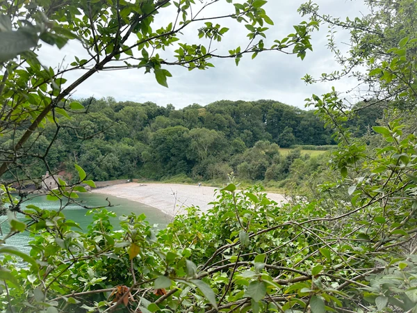 The green grassy patch at the centre right is likely the location of the "C" murder. According to Hastings: ""Suddenly we came out on a grassy ridge overlooking the sea and a beach of glistening white stones. All round dark green trees ran down to the sea." This photo was taken on the path from Broadsands Beach to Elberry Cove. The best parking is available at Broadsands, as well as refreshments.