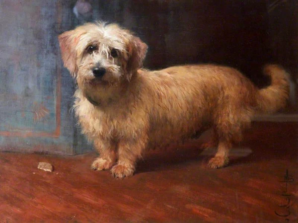 A Dandy Dinmont, Called ‘Scotty’, Monty Miller’s Dog by Nathaniel Hughes John Baird