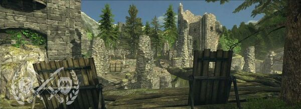 AOCTD-Forest P.jpg