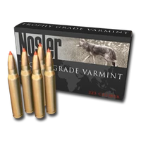 Ammo 223 01