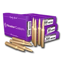 Ammo 308
