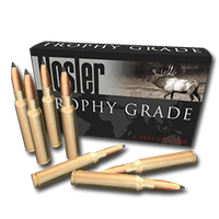 Ammo 65x55