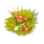 Neurope flower small