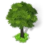 Weurope tree