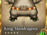 King Mandragora