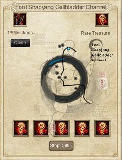 Meridian System | Age of KungFu Wiki | Fandom