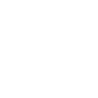 Next Dawn