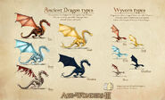 Dragon Concept Art