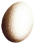 Cockatrice Egg