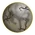 Hunter Spider Egg
