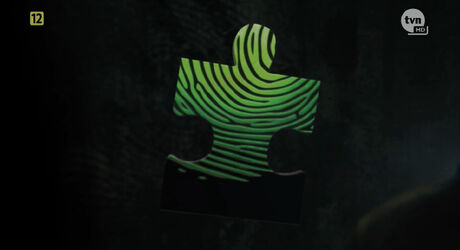 Puzzel1.jpg