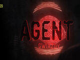 Agent - Gwiazdy (sezon 6)
