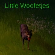 Little Woofetjes