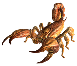 Гигантский пёстрый скорпион (1).png